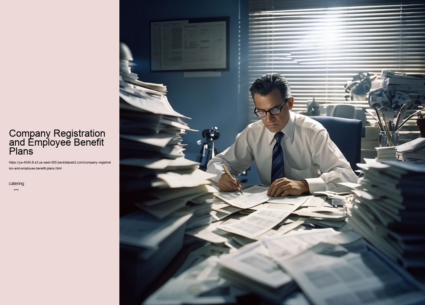 Company Registration and Employee Benefit Plans